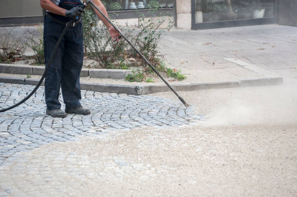 Best Gutter Cleaning  in Buda, TX